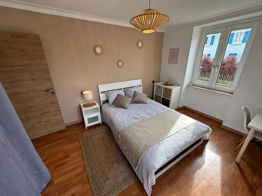 Apartment Magnifique F3. 4 A 6 Personnes Lutterbach